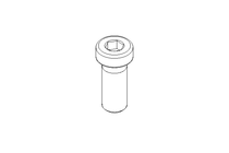 Zyl-Schraube M12x30 A2 70 DIN7984