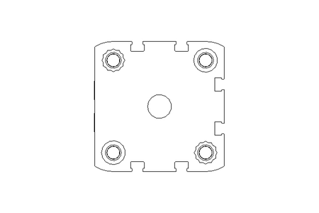 Cilindro pneumatico ADN-50-50-I-P-A-5363