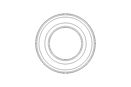 Roulem. rainuré à billes 6006 2RS 30x55