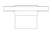 FLANGE DN40 ISO FORM V 1.4539