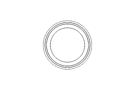 Clamp-Dichtung DN65 Gylon 3504 DIN 32676