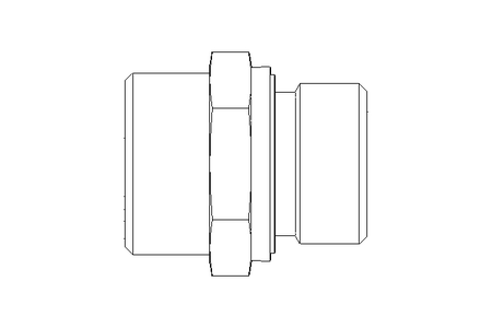 Ввинчиваемый патрубок L 22 G3/4" St