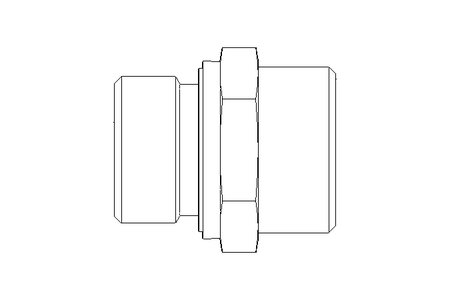 Raccordo a vite L 22 G3/4" St ISO8434