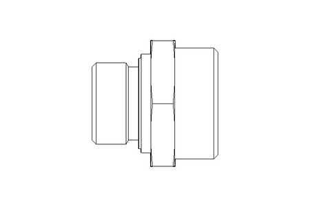 Raccordo a vite L 28 G3/4" St ISO8434