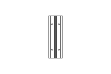 Führungsschiene NS-01-80 L 250