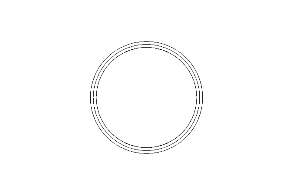 SEALING RING   DN80