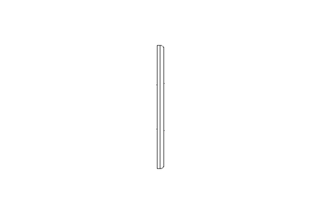 SEALING RING   DN80