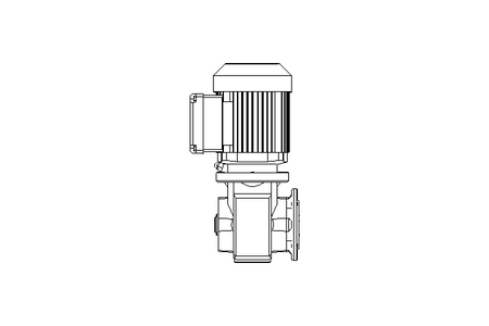 螺杆齿轮速电机 0,25kW 15 1/min