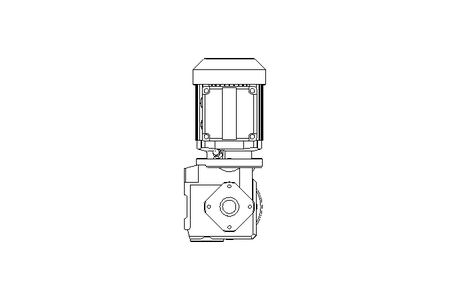 螺杆齿轮速电机 0,25kW 15 1/min