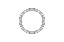 Grooved ring E5 45x55x7 FPM