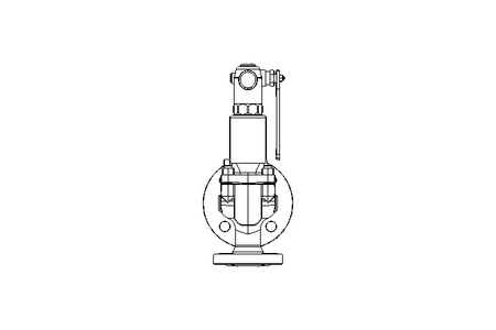 SAFETY VALVE