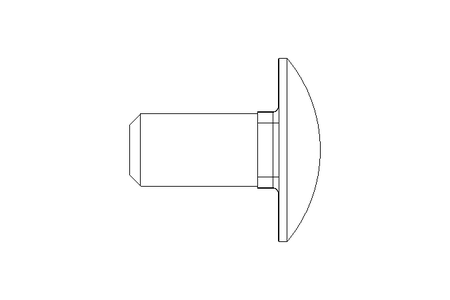 Round head screw M12x25 A2 DIN603