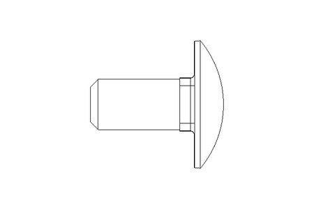 Round head screw M12x25 A2 DIN603