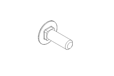 Round head screw M10x30 A2 DIN603