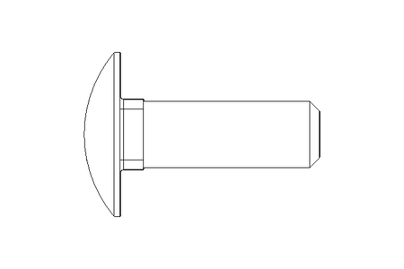 Round head screw M10x30 A2 DIN603