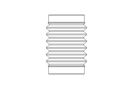 SOUFFLET / ACCORDEON