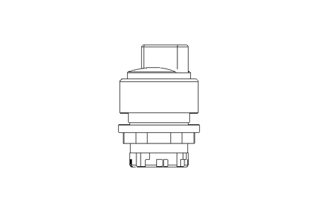 Rotary switch