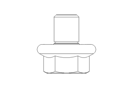 Hexagon screw M5x6 A2 DIN EN 1665