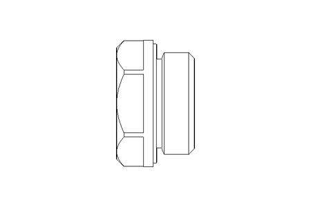 OIL SIGHT GLASS