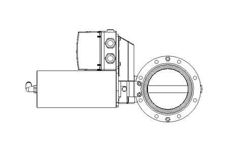 Scheibenventil BR DN100 OVO NC E