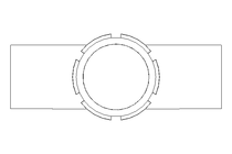 Schaulaterne DN 50