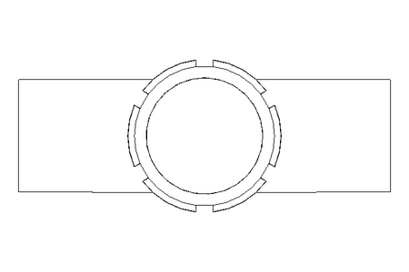 Schaulaterne DN 50