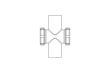 Schaulaterne DN 50