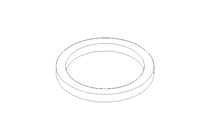 GASKET          G 40 DIN 11851