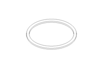 Bague d'étanchéité G DN80 EPDM DIN11851