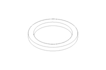 Sealing ring 17.1x21.8x2 PVC-P