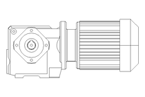 Worm gear motor 0.25kW 199 1/min