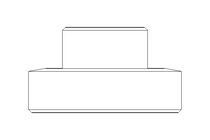 Raccord fileté SC DN25 1.4404 DIN11851