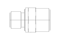 Raccordo a vite L 12 R1/4" Niro DIN2353