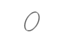 SEALING RING (0900077994) 改：