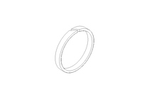 GUIDE RING F2 D=32 H=3,9 PTFE