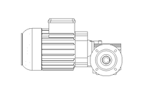 Worm gear motor 0.55kW 140 1/min