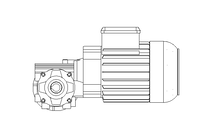 Worm gear motor 0.55kW 140 1/min