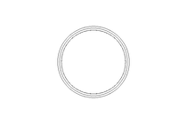 SEALING RING   DN80