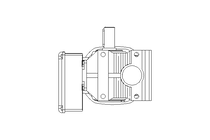 Worm gear motor 0.37kW 25 1/min