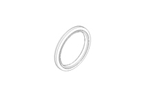 Anello di tenuta Glyd Ring RG 30x37,3