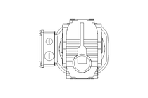 Worm gear motor 0.55kW 50 1/min