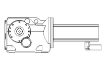 GEAR MOTOR