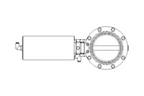 Scheibenventil B DN100 CVC AA H