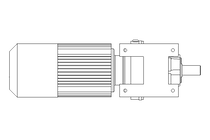 正齿轮变速电机 0,55kW 47 1/min