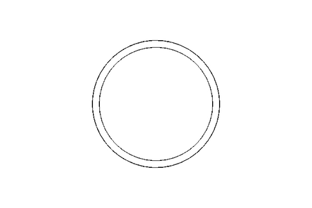 Sealing ring G DN80 FPM DIN11851