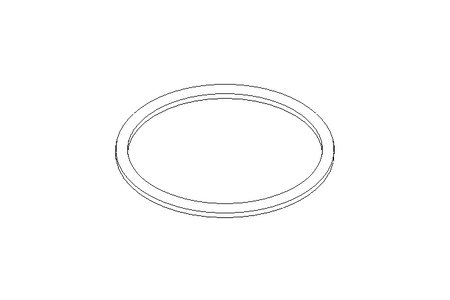 Sealing ring G DN80 FPM DIN11851