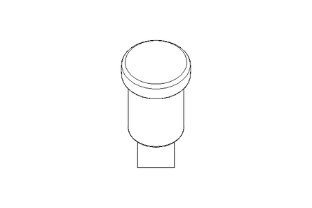 Strainer DN050 Schraegsitz 1.4404