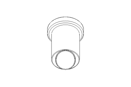 Strainer DN065 Schraegsitz 1.4404