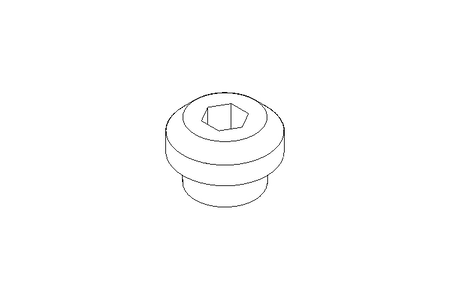 SCREW PLUG     M10X1