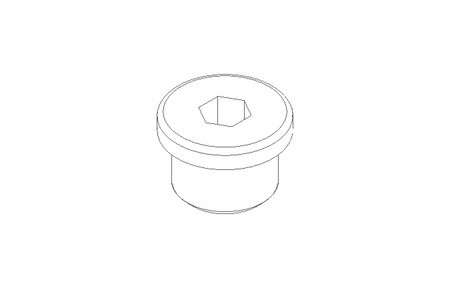 Verschlussschraube M18x1,5 A2 DIN 908